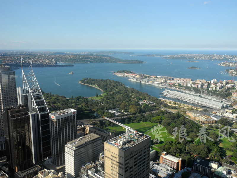 悉尼海湾.jpg