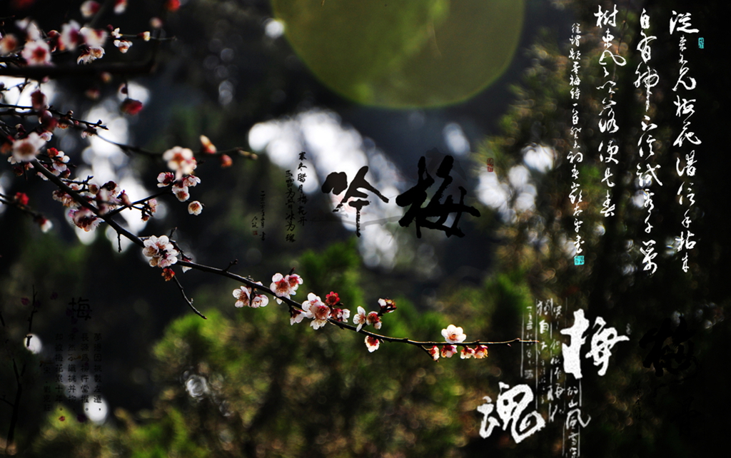 DSC_0240 - 副本_副本.jpg