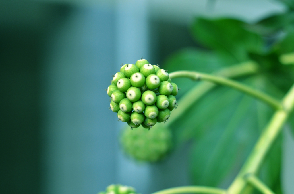 样片随拍 96432.jpg