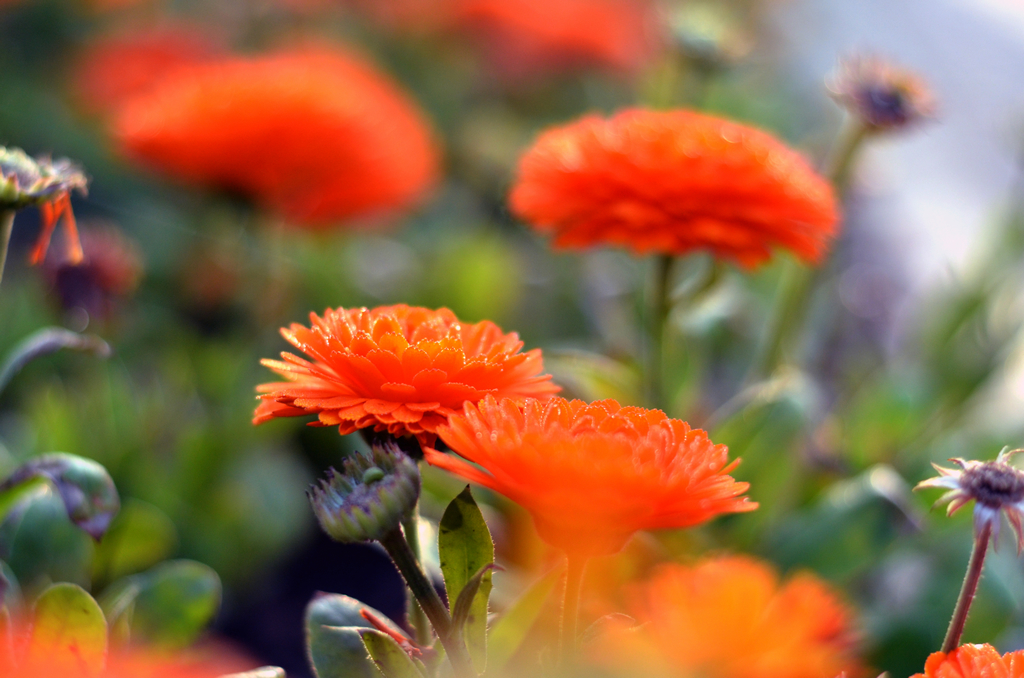 样片随拍 96223.jpg