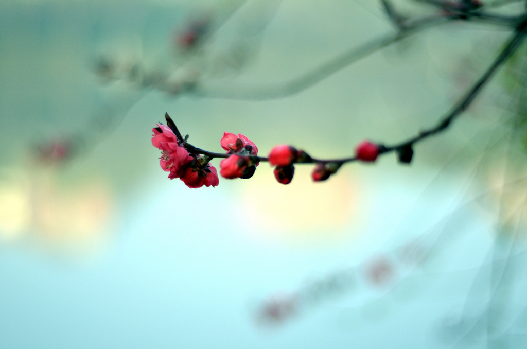 样片随拍 96254.jpg