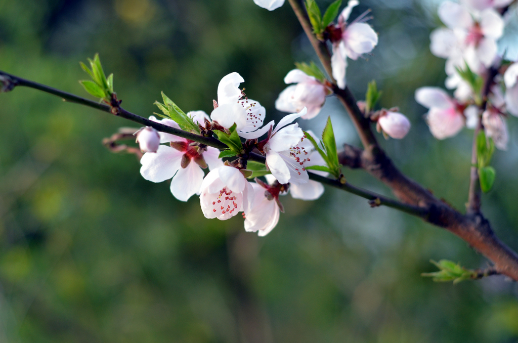 样片随拍 96262.jpg