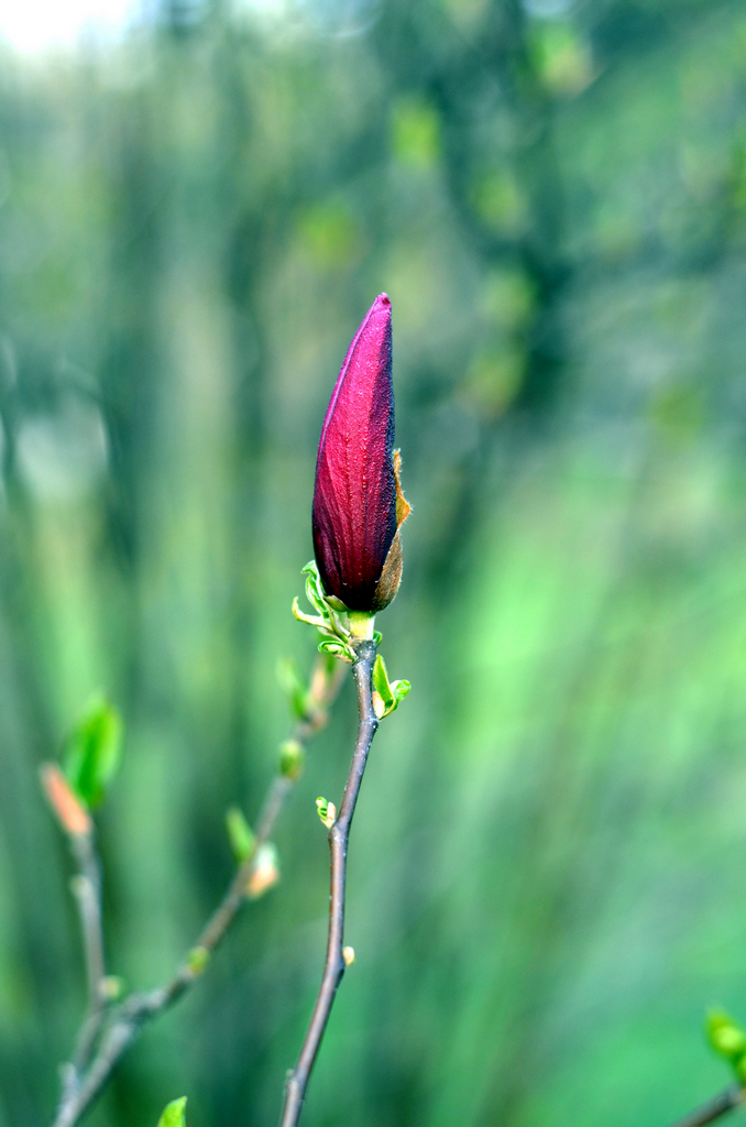 样片随拍 96342.jpg