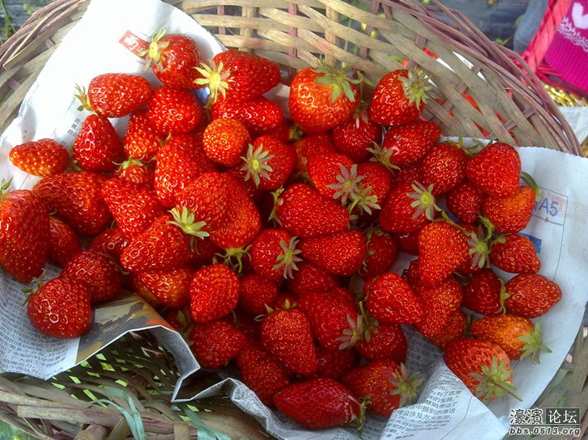 照片 012_副本.jpg