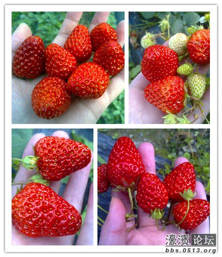 照片 014_副本.jpg