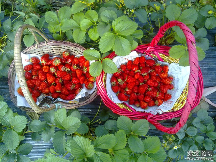 照片 013_副本.jpg