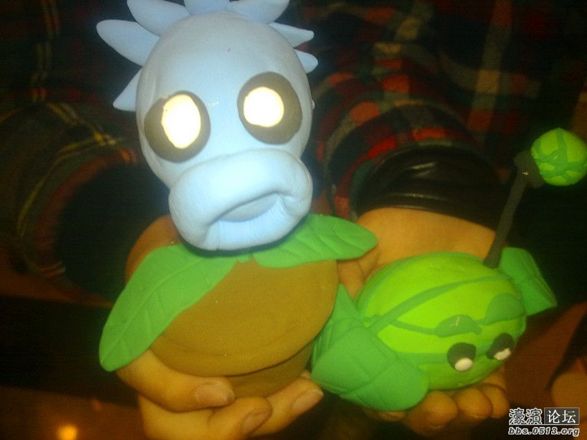 照片 002_副本.jpg