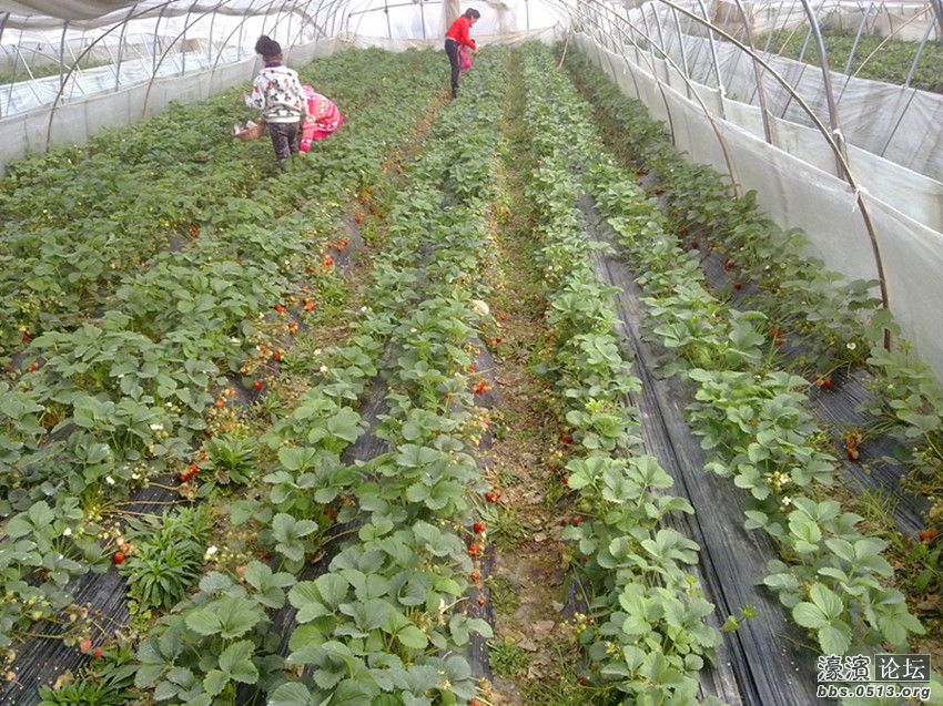 照片 007_副本.jpg