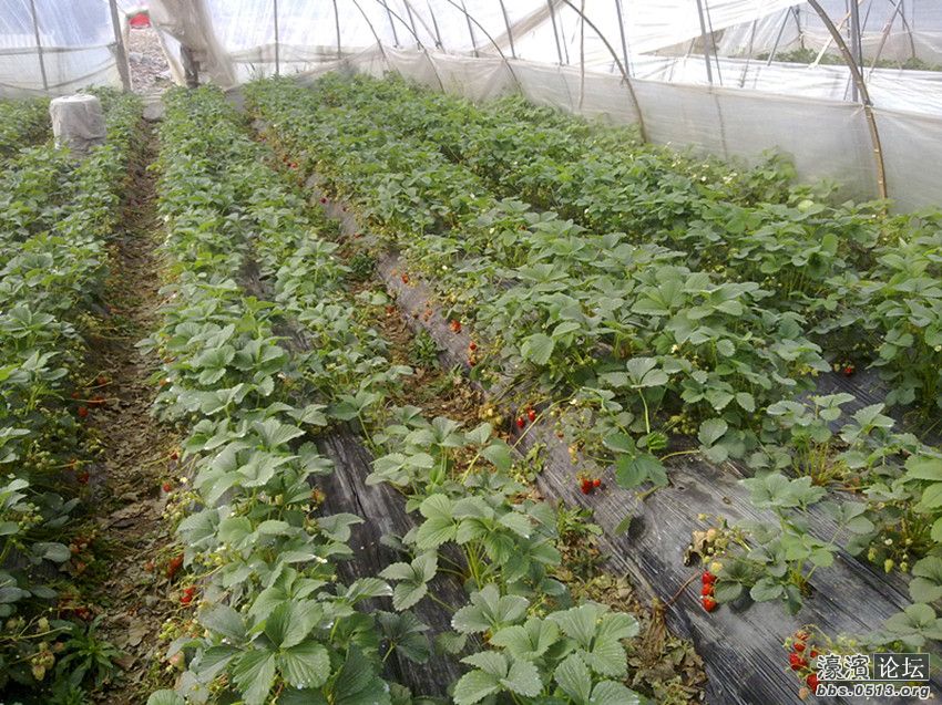 照片 008_副本.jpg