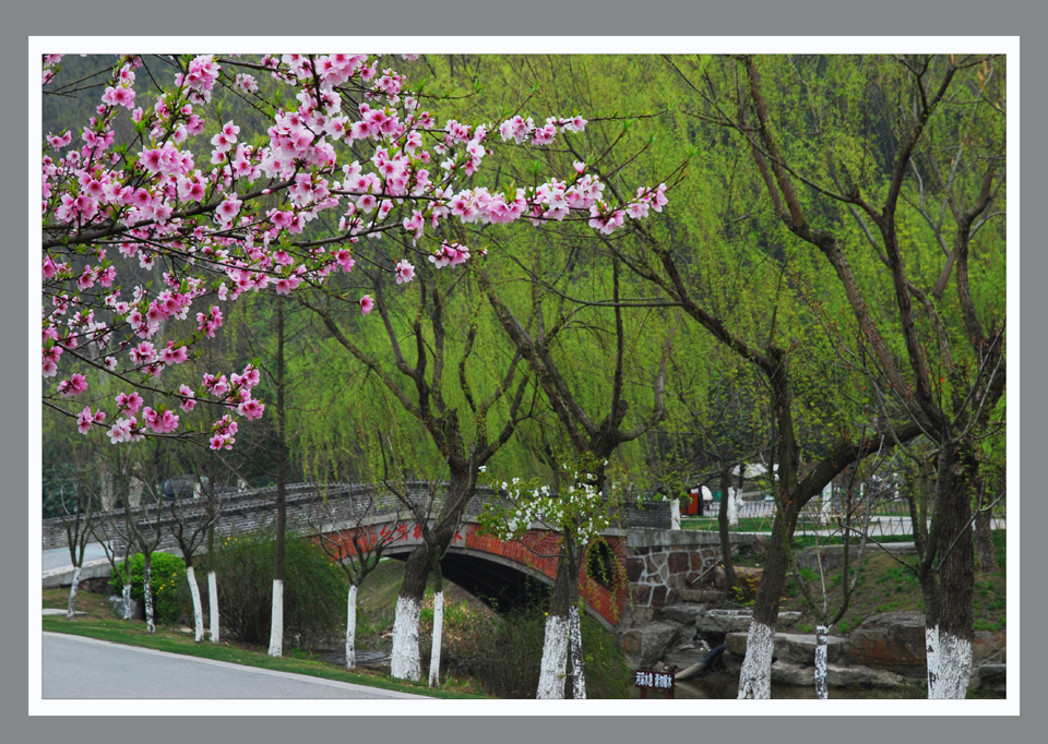 桃红扮靓图 (1).jpg