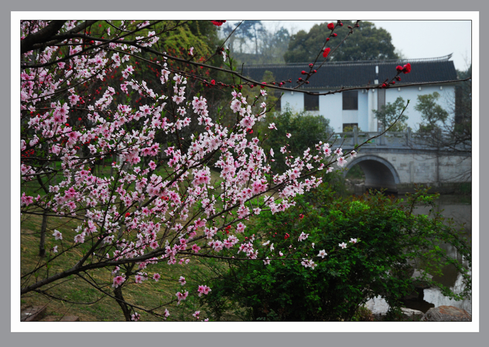 桃红扮靓图 (2).jpg