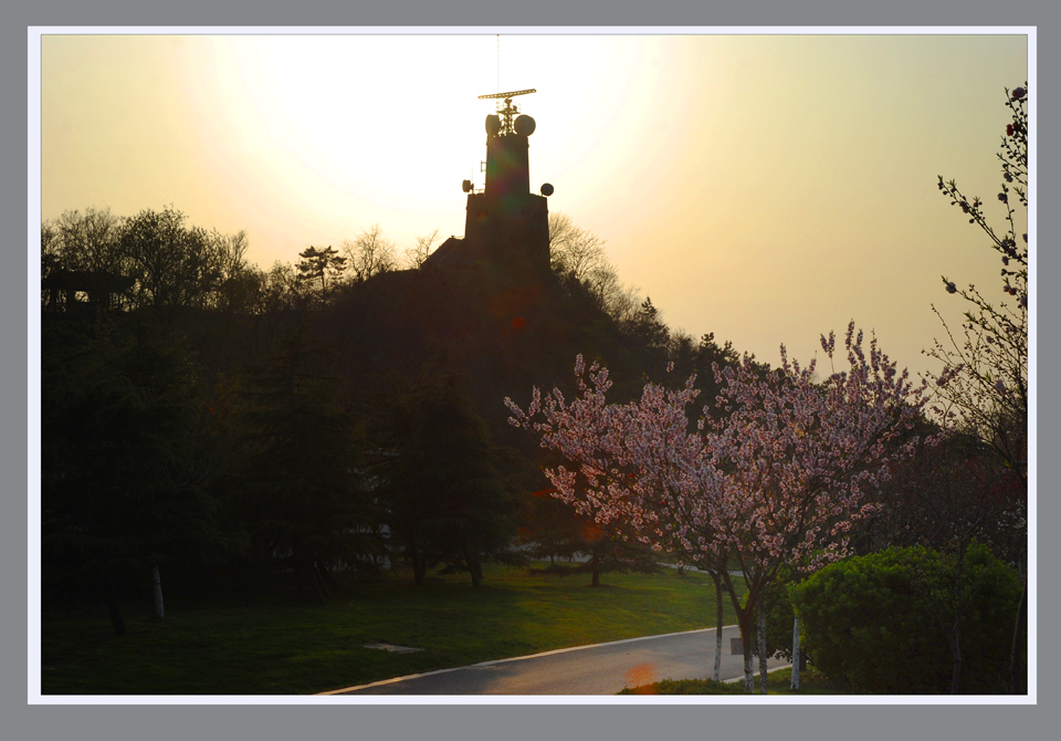 桃红扮靓图 (6).jpg