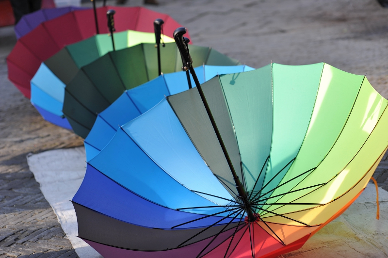 DSC_9818_HZP  16.jpg