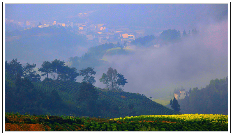 IMG_3459 (301)okok.jpg