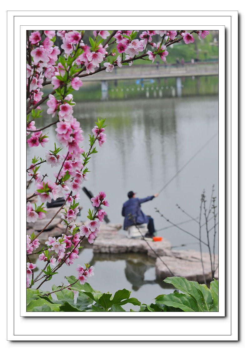 春意弥满正钓时1.jpg