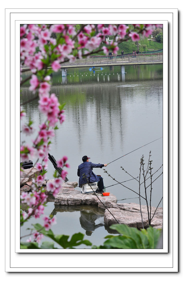 春意弥满正钓时.jpg