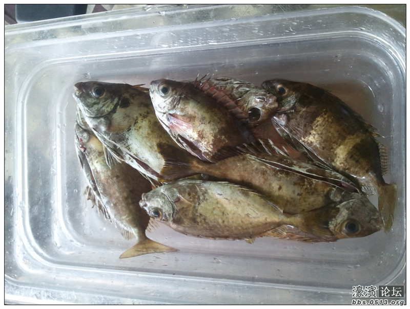 2013-04-15 13.46.17.jpg