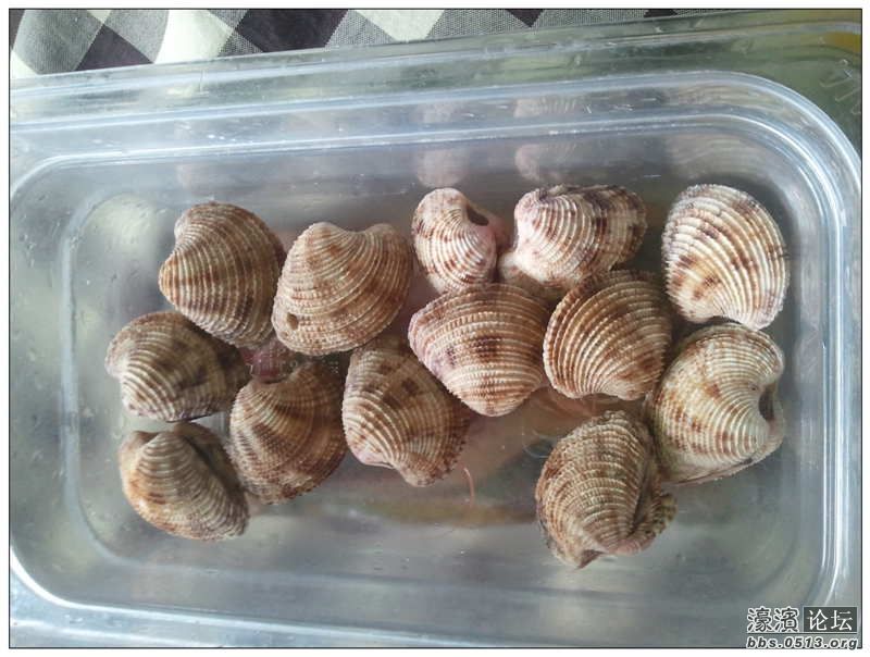 2013-04-15 13.46.35.jpg