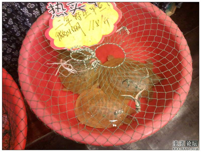 2013-04-30 18.16.44.jpg