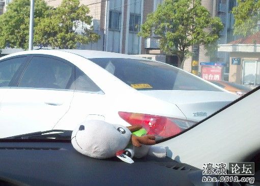 还是在王子造纸拍的