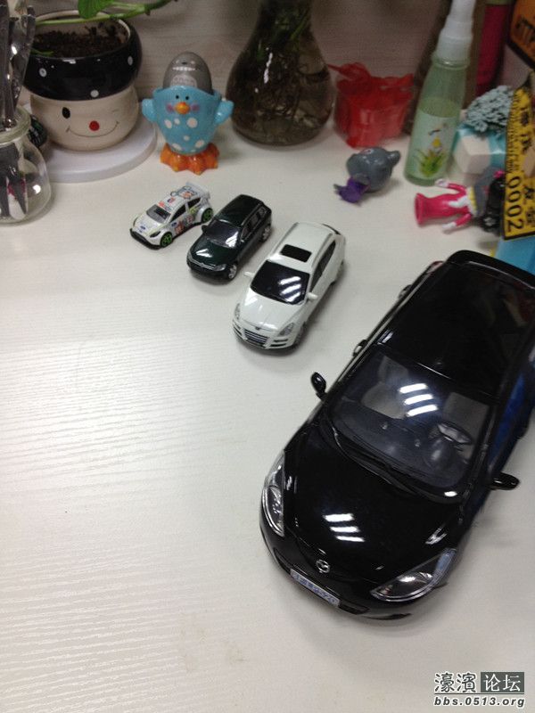 照片 008_副本.jpg