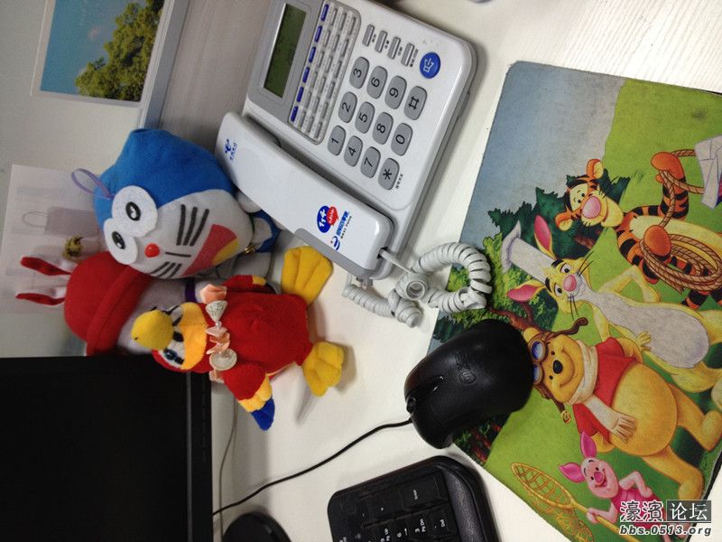 照片 009_副本.jpg