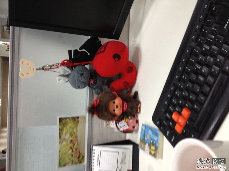 照片 010_副本.jpg