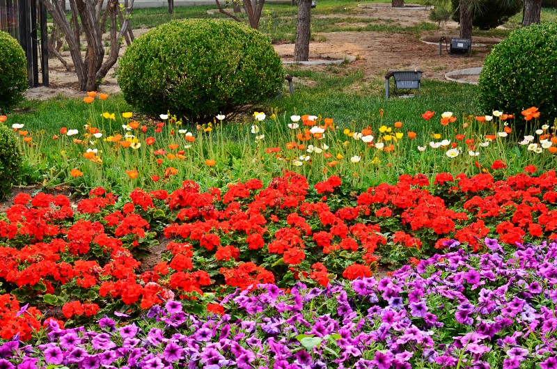 DSC_2460_conew1 - 副本.jpg