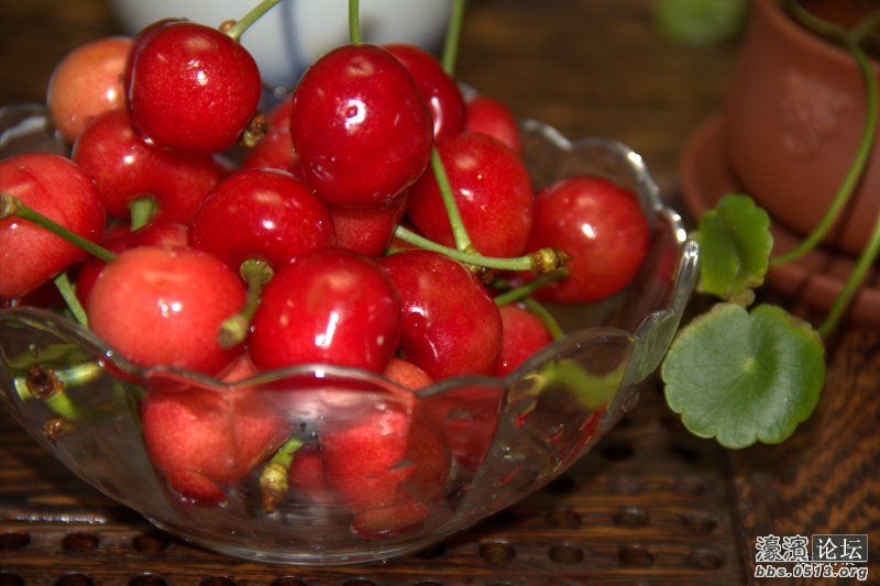 樱桃1.jpg