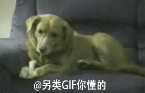 a4314a35jw1e58p2jfz45g208c05ce81.gif