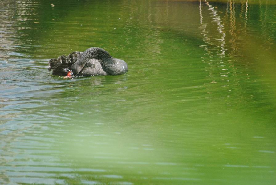 调整大小 DSC_1301.JPG