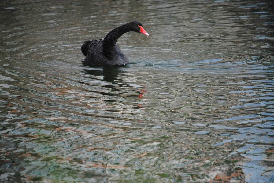 调整大小 DSC_1300.JPG