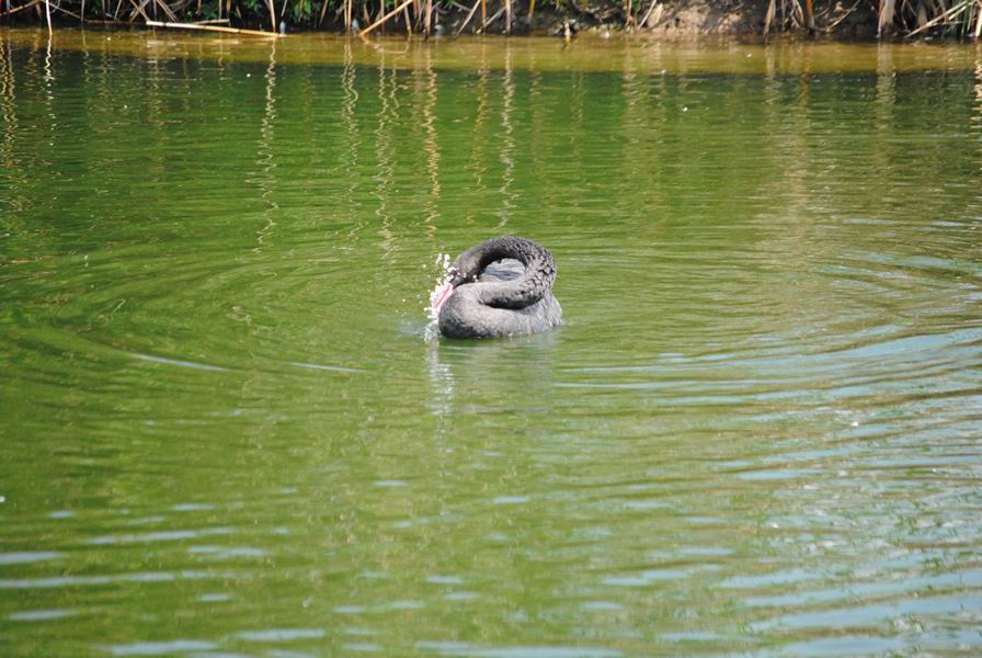 调整大小 DSC_1302.JPG