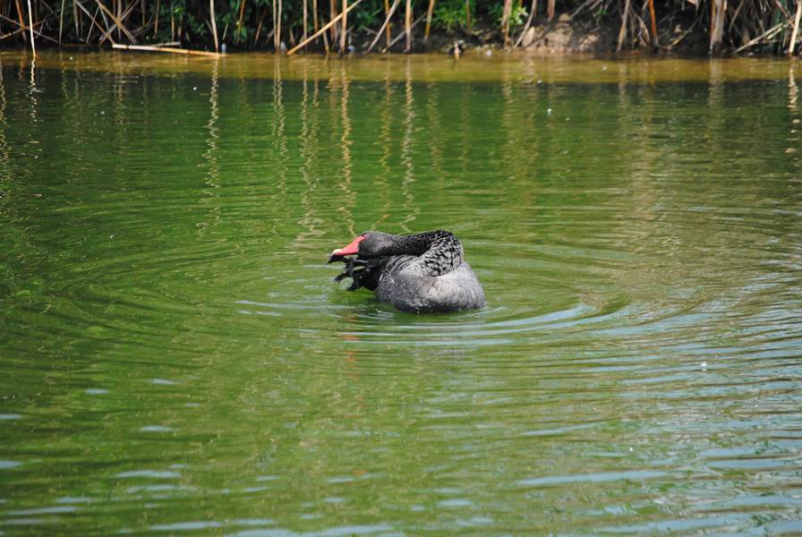 调整大小 DSC_1303.JPG