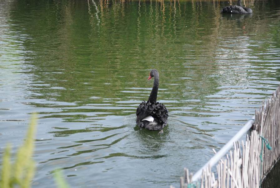 调整大小 DSC_1295.JPG