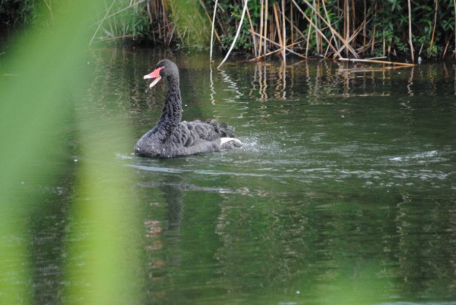 调整大小 DSC_1298.JPG