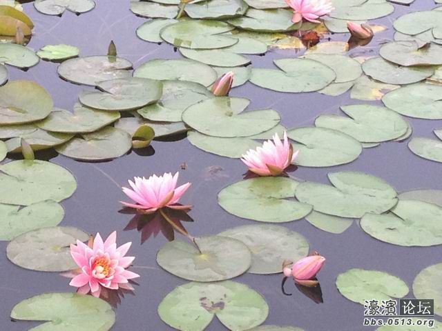 复件 调整大小 IMG_0380.jpg