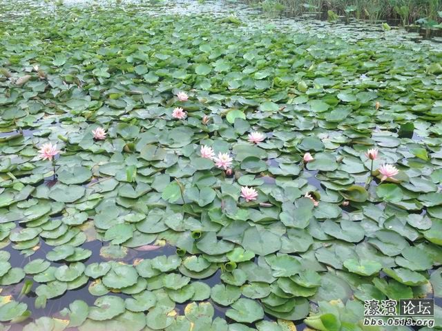 调整大小 IMG_0379.jpg