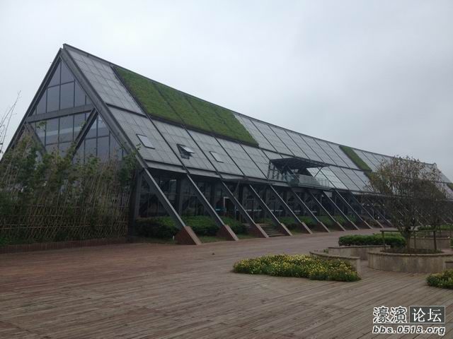 调整大小 IMG_0381.jpg