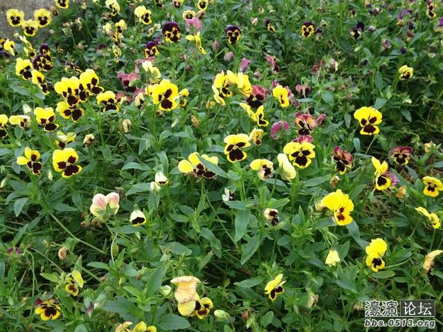 调整大小 IMG_0384.jpg