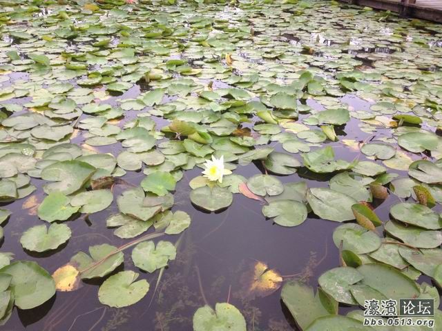 调整大小 IMG_0382.jpg