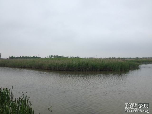 调整大小 IMG_0389.jpg