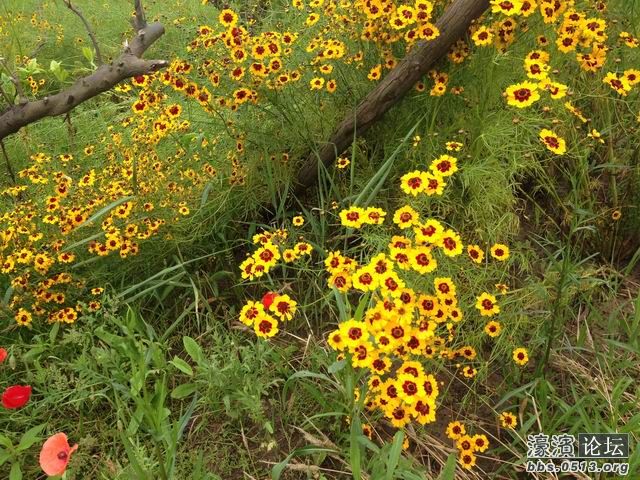 调整大小 IMG_0396.jpg