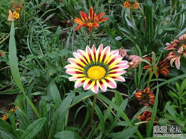 调整大小 IMG_0402.jpg