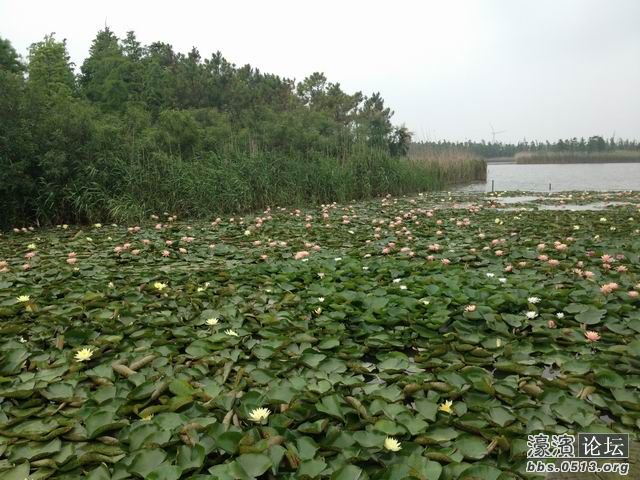 调整大小 IMG_0407.jpg