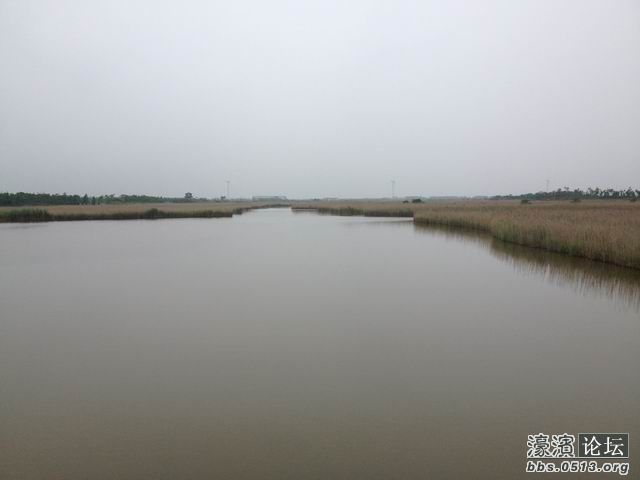 调整大小 IMG_0417.jpg