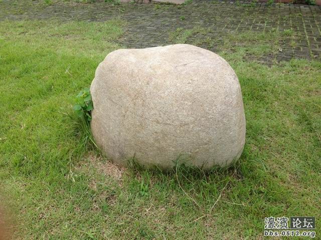 调整大小 IMG_0418.jpg