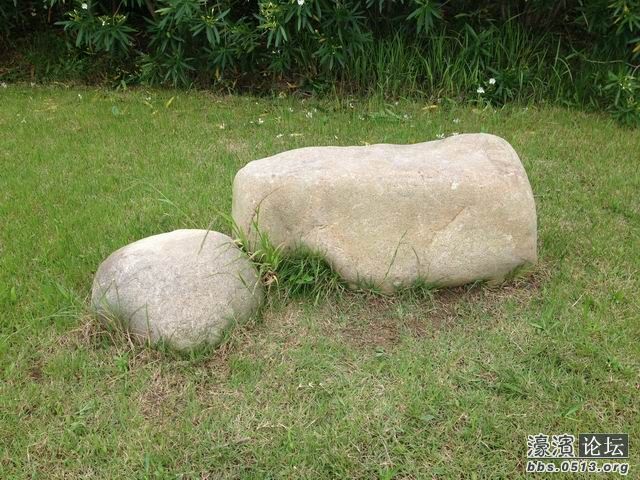 调整大小 IMG_0419.jpg