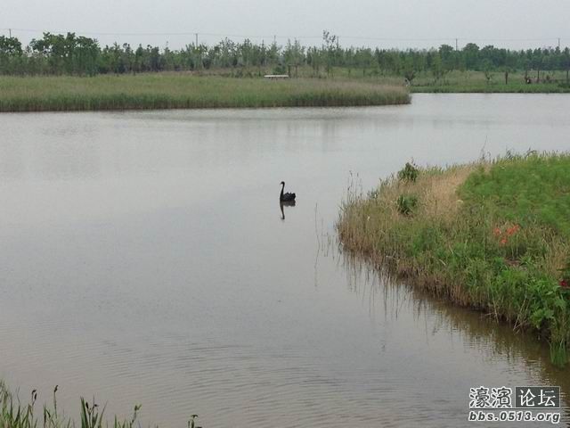 调整大小 IMG_0423.jpg