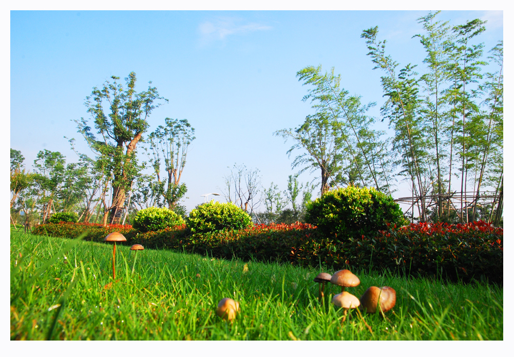 绿色氧吧绝佳秀色 (1).jpg